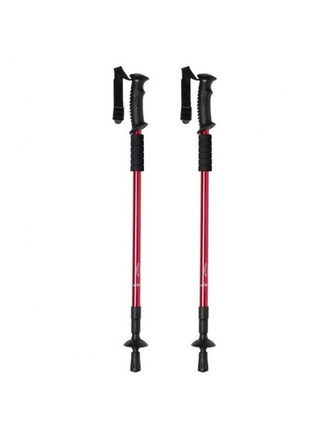 Trekking stok (2 pcs)