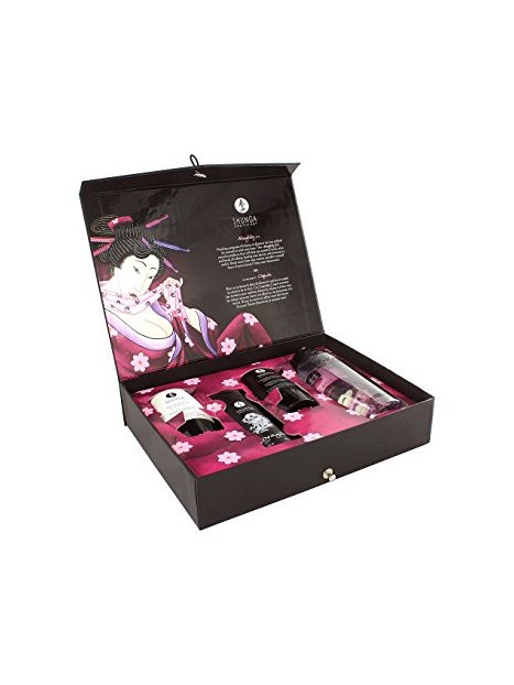 Ondeugend Set Shunga E24923